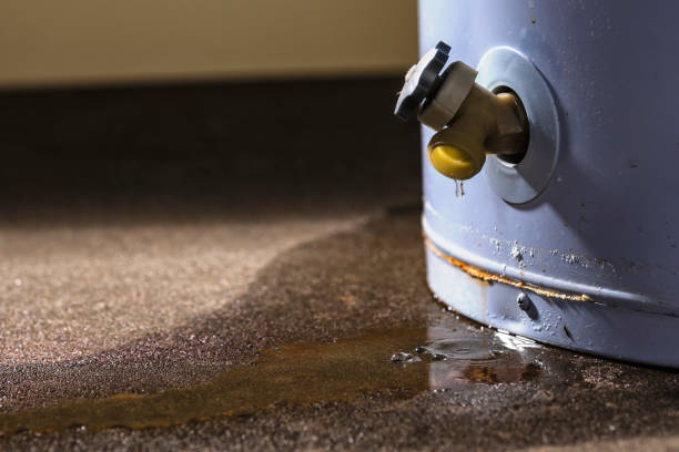 Best Water damage restoration near me  in Spring Valley, NY