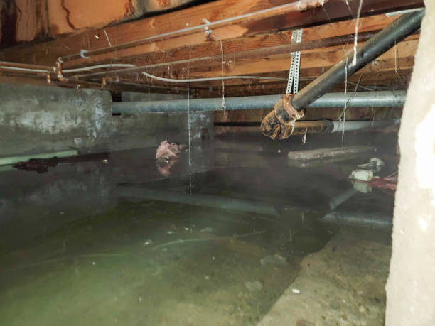 Spring Valley, NY Water damage restoration Pros