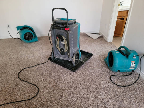 Best Professional water damage repair  in Spring Valley, NY