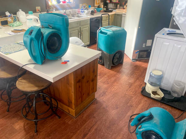 Best Local water damage restoration  in Spring Valley, NY