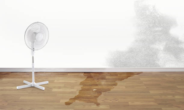 Best Flood restoration services  in Spring Valley, NY