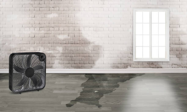 Best Sewage cleanup and water damage restoration  in Spring Valley, NY