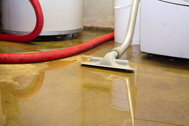 Best Basement water damage restoration  in Spring Valley, NY