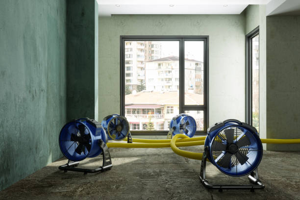 Trusted Spring Valley, NY Water damage restoration Experts