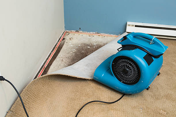 Best Flood damage cleanup  in Spring Valley, NY
